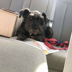 Meet your Posher, Cassandra